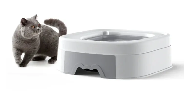 Extensive collection Toilet Sand Trainer Massive offer with Table Cat