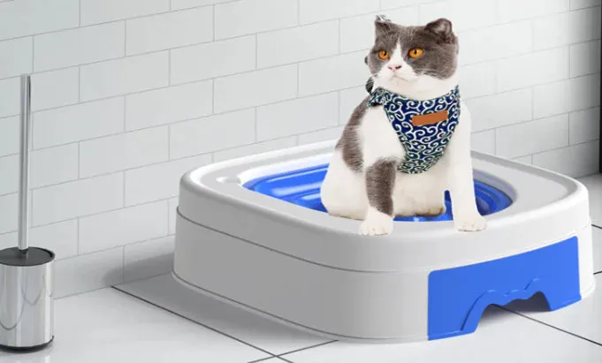 Extensive collection Toilet Sand Trainer Massive offer with Table Cat