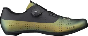 Fizik Unisex-Adult Classic Shoe