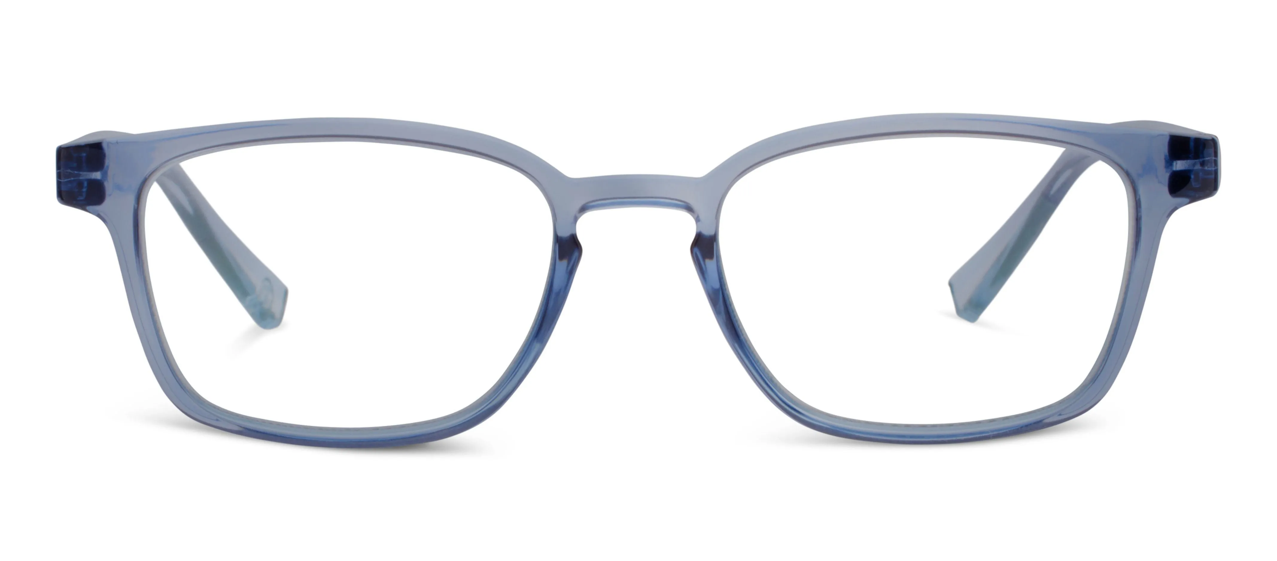 Rosemary (Blue Light)